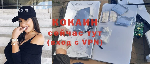 тгк Богородицк
