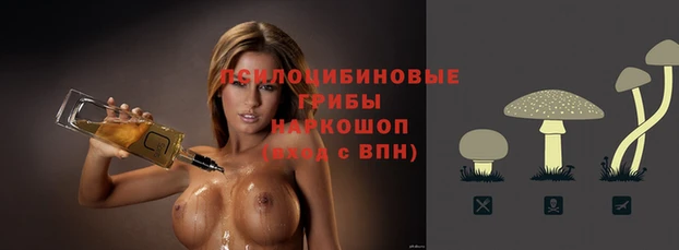гашиш Богданович