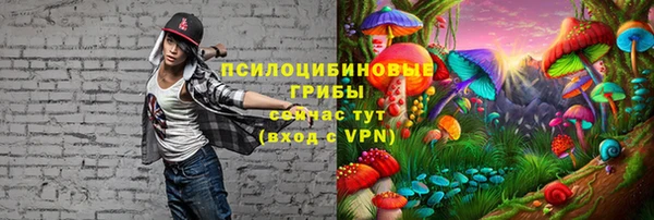 тгк Богородицк