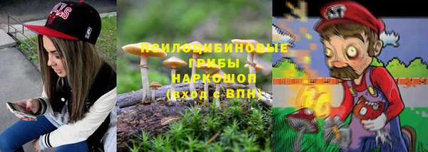 apvp Беломорск