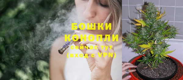 эйфоретик Белокуриха